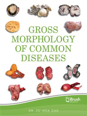 cover image of Gross Morphology of Common Diseases